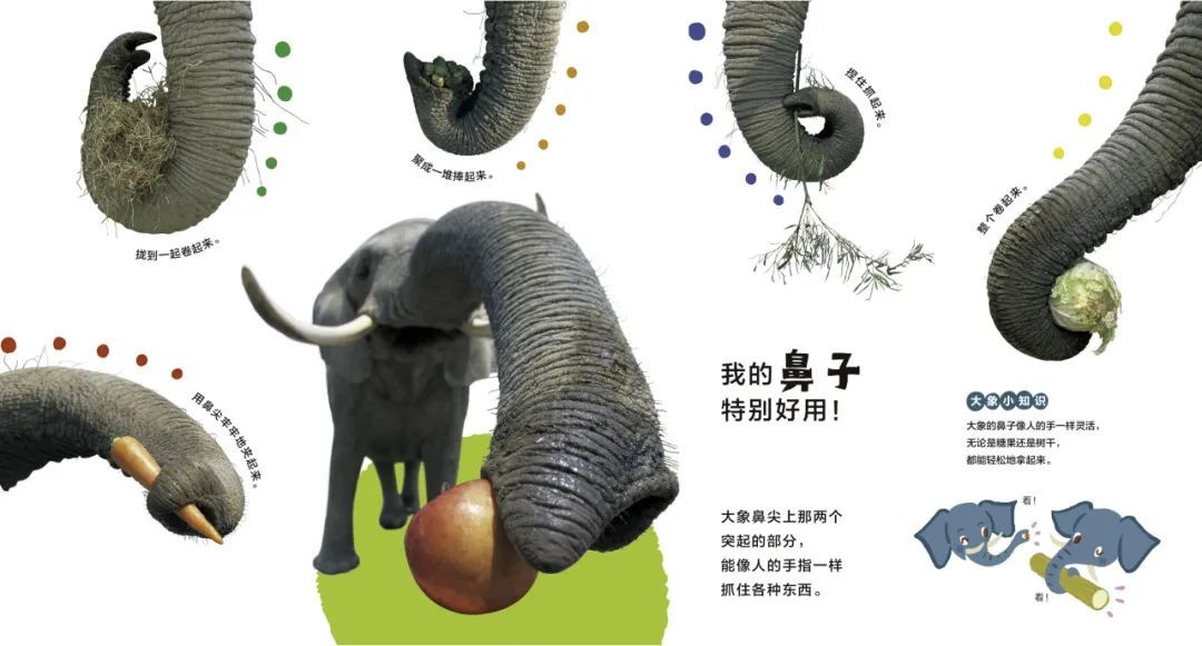 他“玩”出了两个诺贝尔奖！