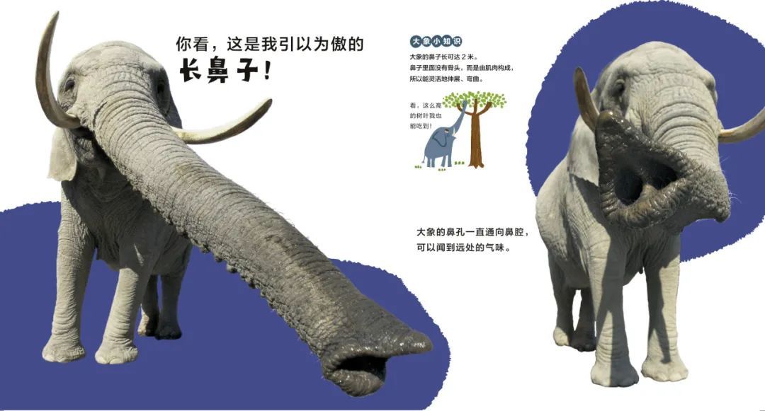 他“玩”出了两个诺贝尔奖！