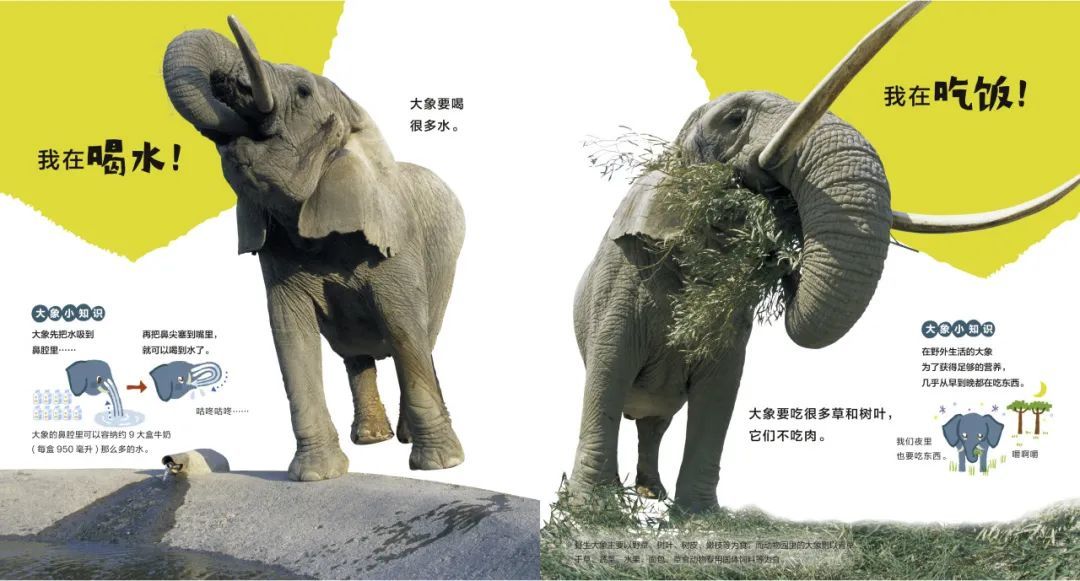 他“玩”出了两个诺贝尔奖！