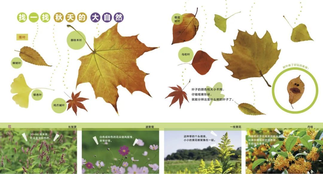 他“玩”出了两个诺贝尔奖！