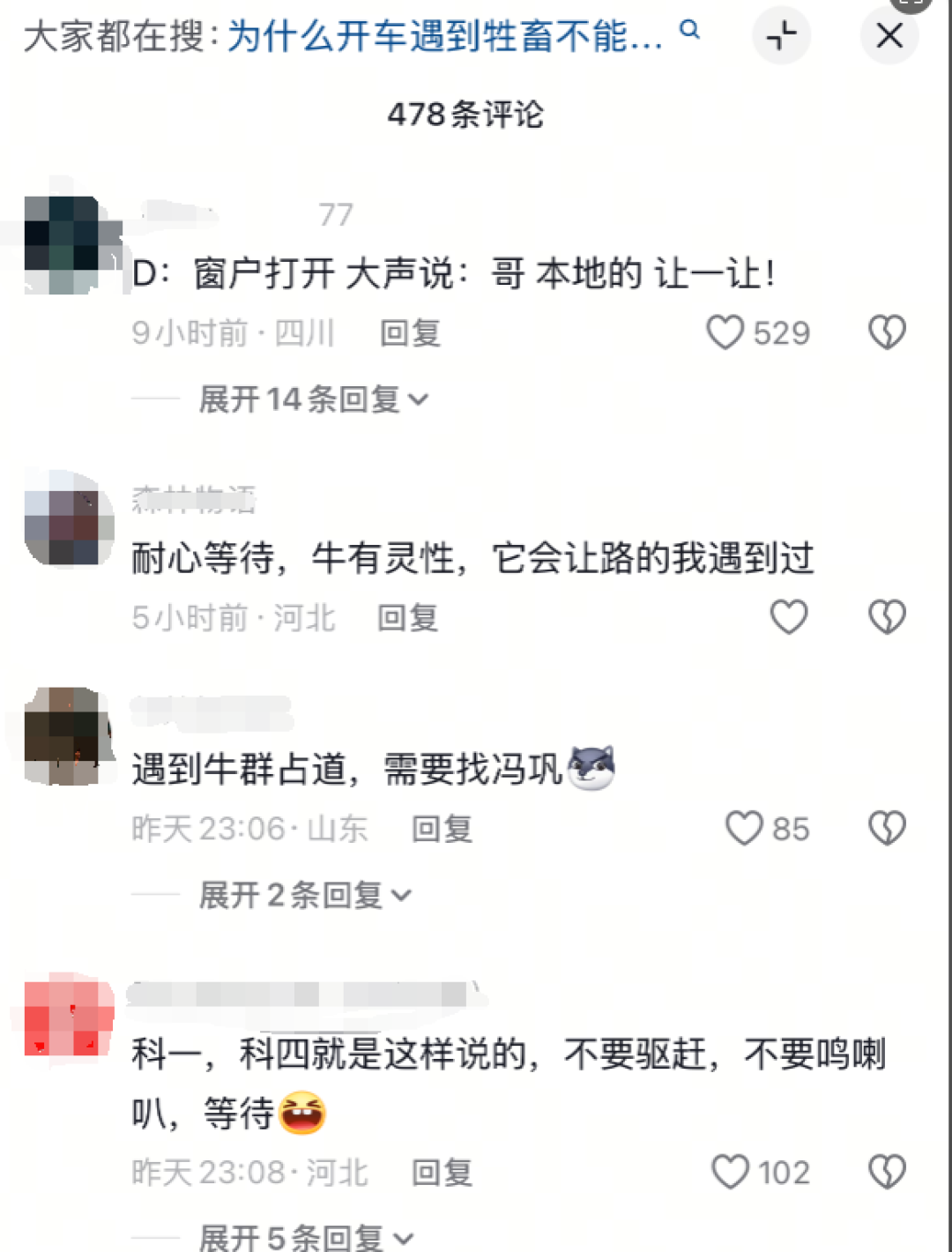 科目四现场版！女子驾车路遇牛群“拦路”双方僵持十多分钟 网友：找冯巩