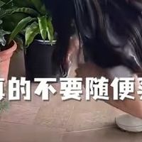 生活焕新纪 篇零：2025新房甲醛超标治理攻略：0臭氧空气净化机品牌选购指南