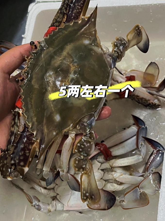 至鲜蟹类