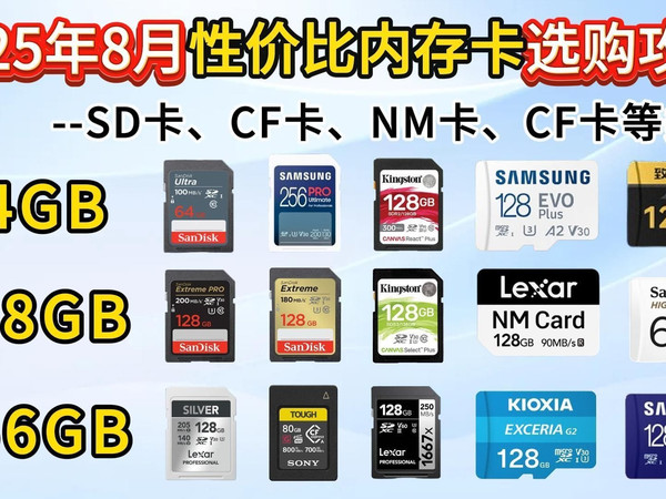 2025年8月高性价比内存卡推荐!SD卡、TF卡、NM卡、CF卡选购攻略!闪迪、三星、金士顿、雷克沙等21款内存卡大选购!适用于相机/摄像头/无人机/运动相机等