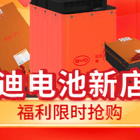 京东自营旗舰店正式上线首发！比亚迪推出电动二轮、三轮车电池