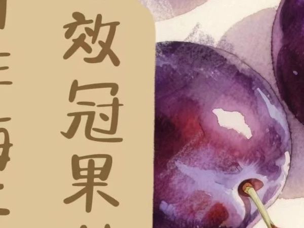 西梅是“梅”还是“李”