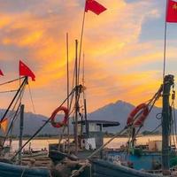 礁石上的年轮 开海时节里流淌的青岛基因