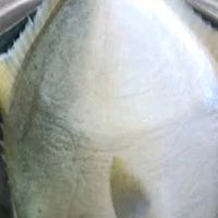 卖鱼七郎冷冻鲜活小银鲳鱼:品质出色,煎食鲜香,便捷省心!