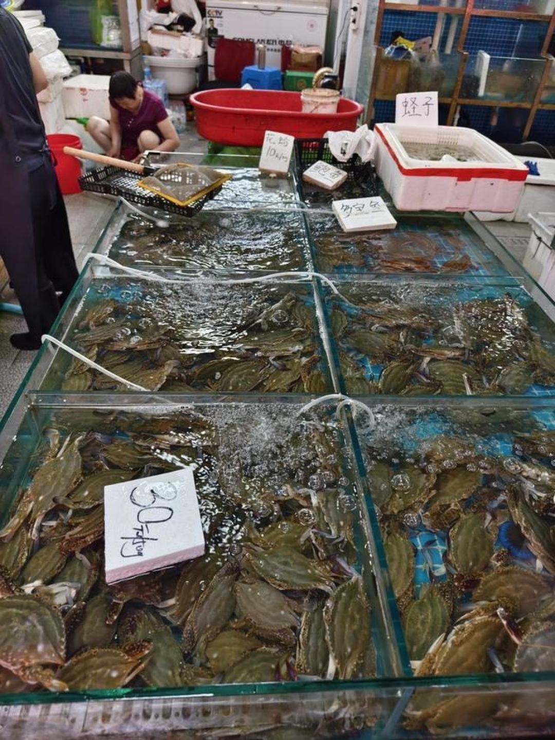 东海开渔季必吃的梭子蟹海鲜面:从家常煮鲜到面馆秘方,一篇get秋日鲜味指南