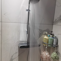 汉斯格雅无顶喷淋浴管置物台组合套装：打造极致沐浴体验