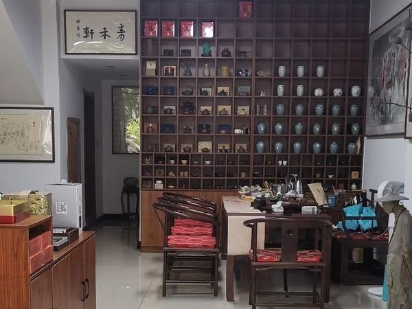 六大茶类--白茶篇