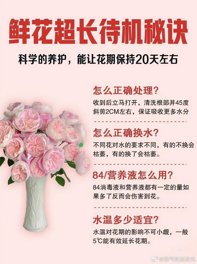#植物科普# DeepSeek带大家深入了解鲜花超长待机的养护秘诀。以下从5个方面详细介绍，助你更好养护鲜花✅🔹1. 收到鲜花后的处理• 及时剪根：收到即打开，清洗根部，45度斜剪2CM，促进吸水。•