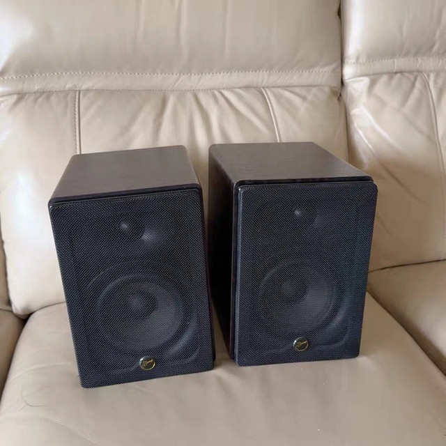 闲鱼捡漏惠威D1080 MKII：百元拿下