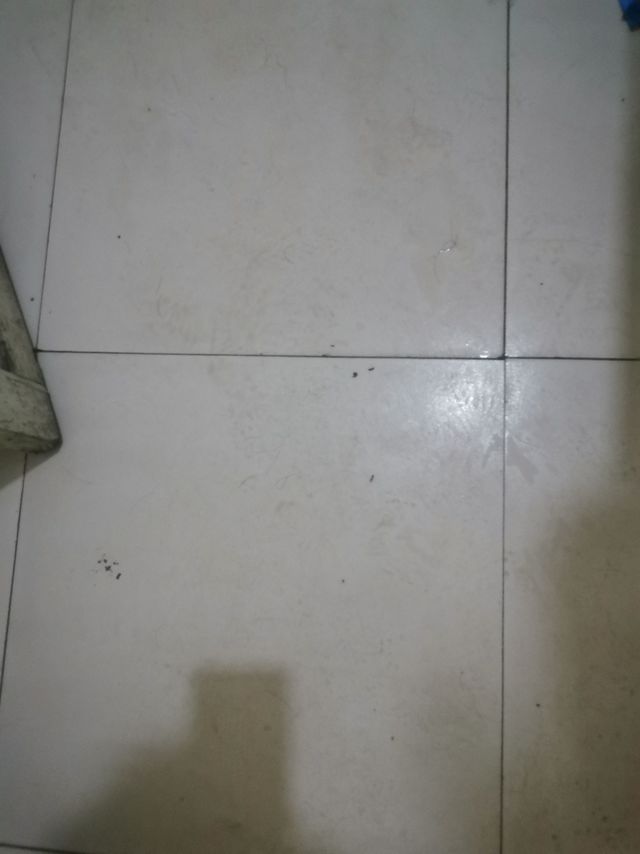 地板缝里藏污纳垢，让我很头疼