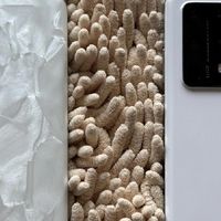 双机在手！华为P40 Pro+ vs P60 Pro真实体验大PK，谁更值得入？