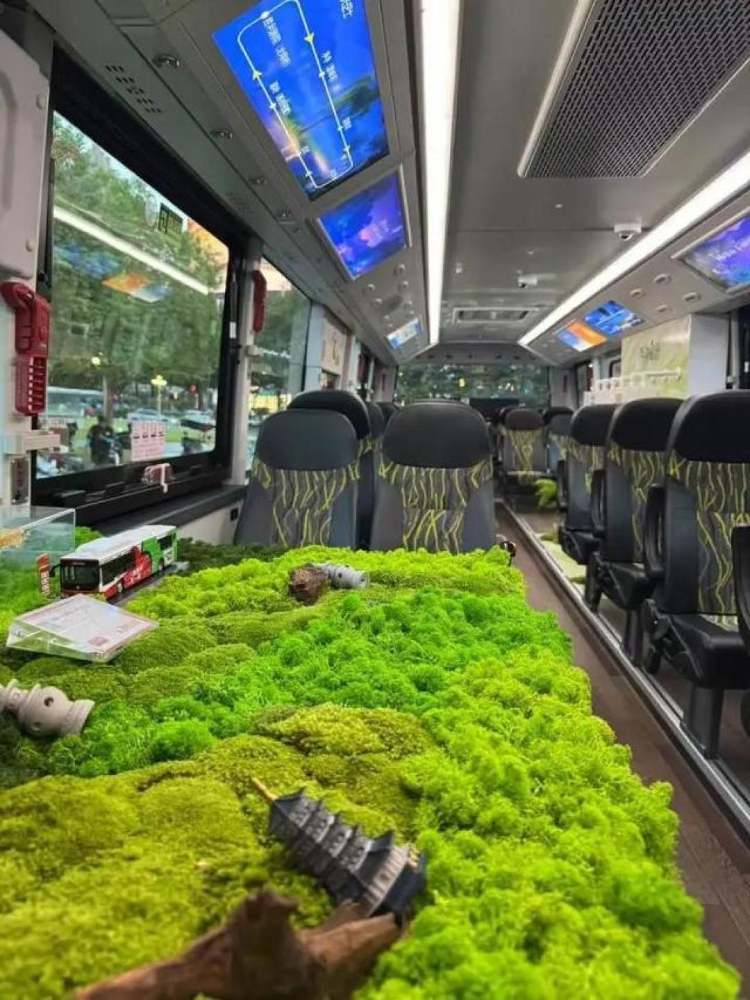 杭州夜游巴士新玩法:过山车飙109分贝尖叫与萤火虫秘境双线齐发