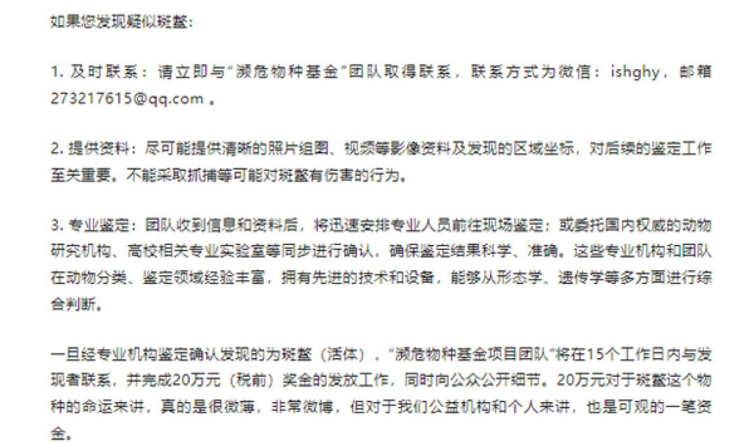 全球已知存活两只雄性斑鳖 寻鳖悬赏涨到20万元 志愿者：近200份线索都不是