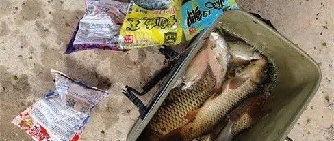 我的后来者爆桶，破了不戒兄的三板斧