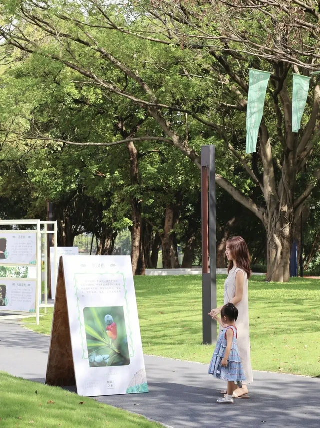东莞遛娃新地标！！南国书香节亲子文化之旅📖