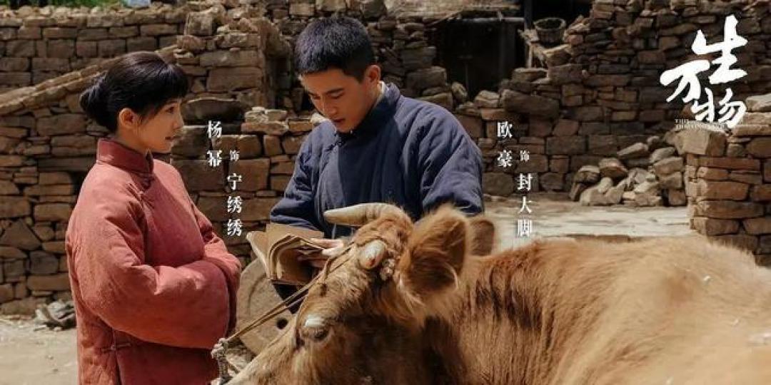 杨幂《生万物》转型赌局:流量撬动年轻市场与演技突破的双向奔赴