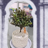 牛小陶旗舰店创意生日礼物女生桌面摆件 —— 拒绝焦虑的雾凇