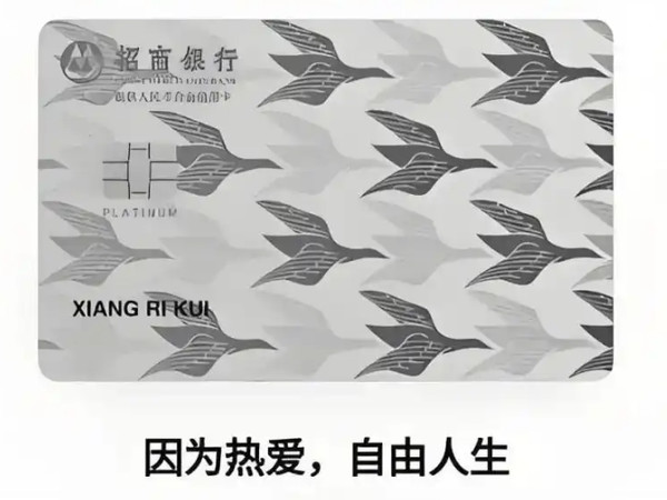 基于招行鸟白申请经验，手把手教你申请大白卡（各银行都适用）