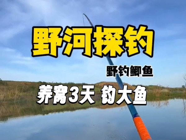 养了3天的重窝 钓大鱼 这算是发窝了吗？