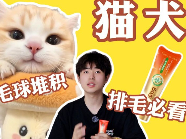 懒人养猫必备！化毛膏到底是不是智商税，亲生经历实测红狗化毛膏效果，到底是不是智商税？