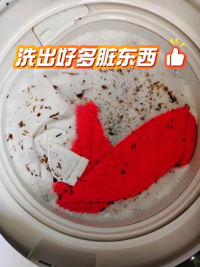 租房党必看！10分钟操作，洗衣机吐出私藏脏货