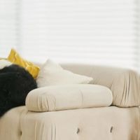 养猫吸尘器哪个牌子好，吸力稳、毛发不卡刷的无线吸尘器品牌推荐