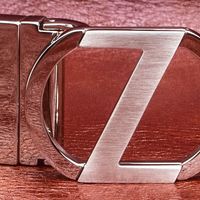 型格之选:Z字旋转扣头皮带使用体验