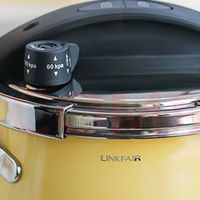 迷你高压锅提升小家庭烹饪效率