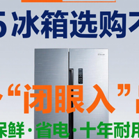 家电国补 篇零：2025 冰箱选购不踩坑：3 个 “闭眼入” 品牌，保鲜省电耐用！