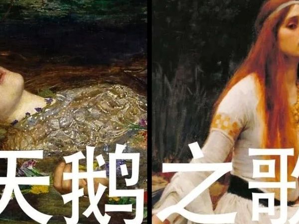 【米说】65：天鹅之歌