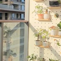 有氧空间改造计划｜阳台不封窗的快乐，是洞洞板绿植墙给的！