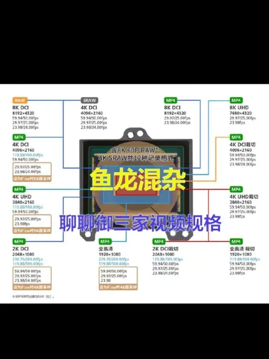鱼龙混杂!聊聊御三家索尼佳能尼康视频规格优劣#索尼 #佳能 #尼康 #松下 #真实生活分享计划