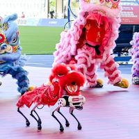 当AI融入粤超赛场：AI“激活”中国足球“快乐因子”