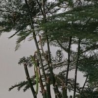 房屋有氧焕变计划：拥抱自然清新生活