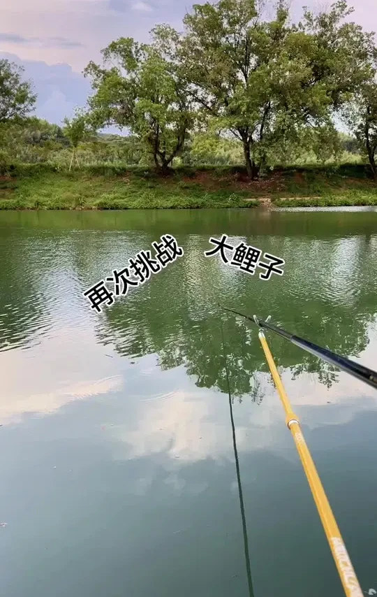 这是秋天的鱼情吗#户外钓鱼 #汉鼎卓越#汉鼎真材实料放心入#钓鱼