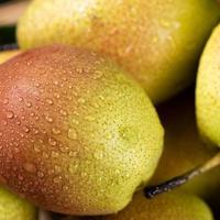 秋梨上市，哪种最好吃？来，涨知识了