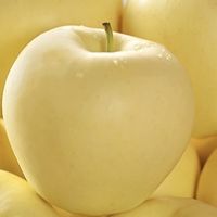 东北黄元帅苹果：一口咬下的秋日甜暖