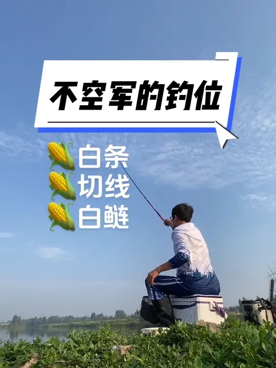 黄金钓位 本来想着这样……结果去了那样😂#2025dou来钓鱼 #中逵钓鱼王30周年正青春 #中逵创始人 #钓鱼就用云飞鱼 #光威赤刃五代