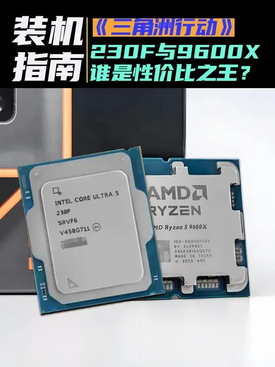 230F与9600X谁是性价比之王？ 《三角洲行动》装机指南#CPU #AMD #Intel