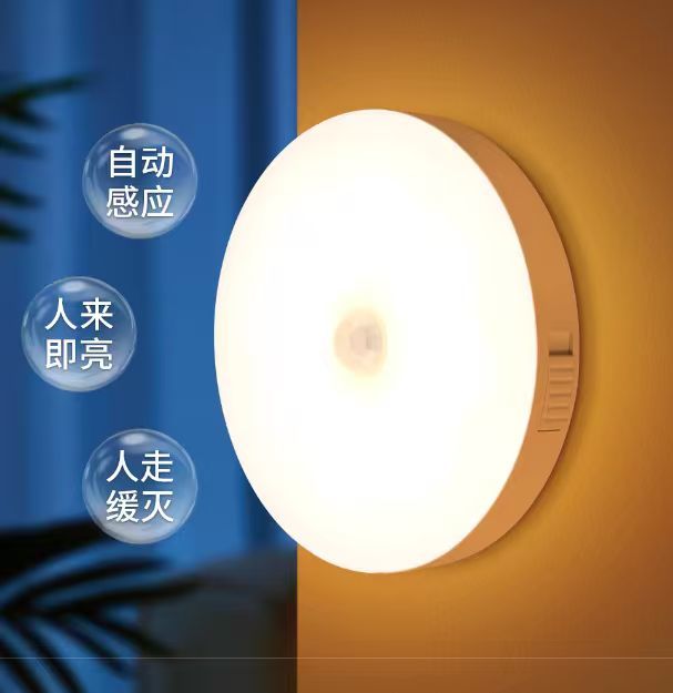 雷士小夜灯，光感+人感双重智控小夜灯