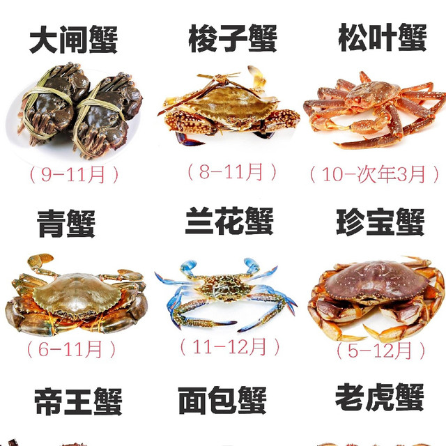 秋季吃蟹指南：9种螃蟹特点