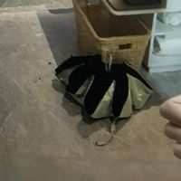 石家庄电竞酒店体验报告