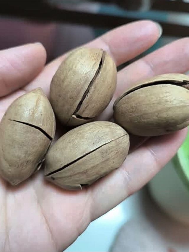 美味坚果，新疆碧根果