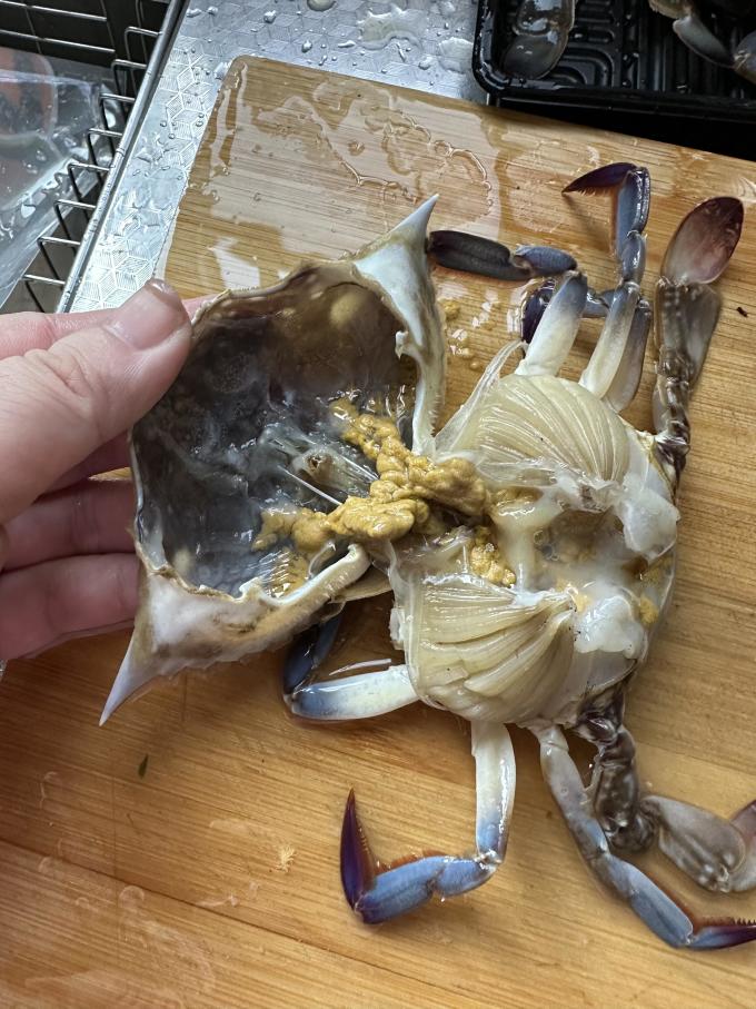 森农乐蟹类