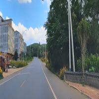 A810：宜章旅发进行时，路边的小花开得正艳