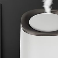 加湿器什么牌子好？十大好用又实惠的推荐，让加湿更高效